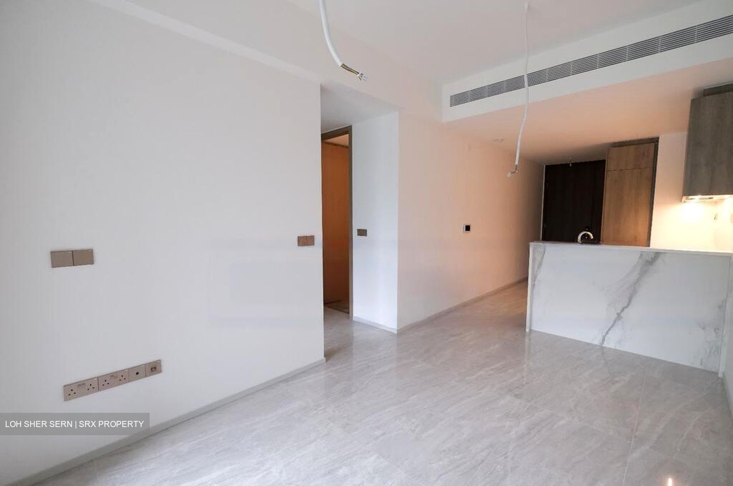 Leedon Green (D10), Condominium #504388341